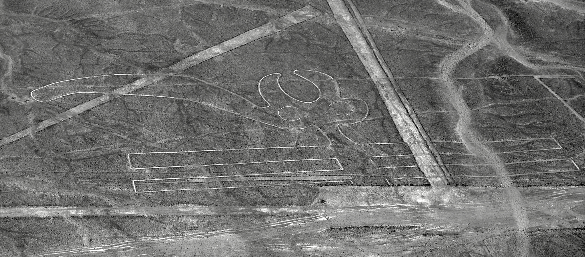 20200305 345 [페루] 나스카 라인